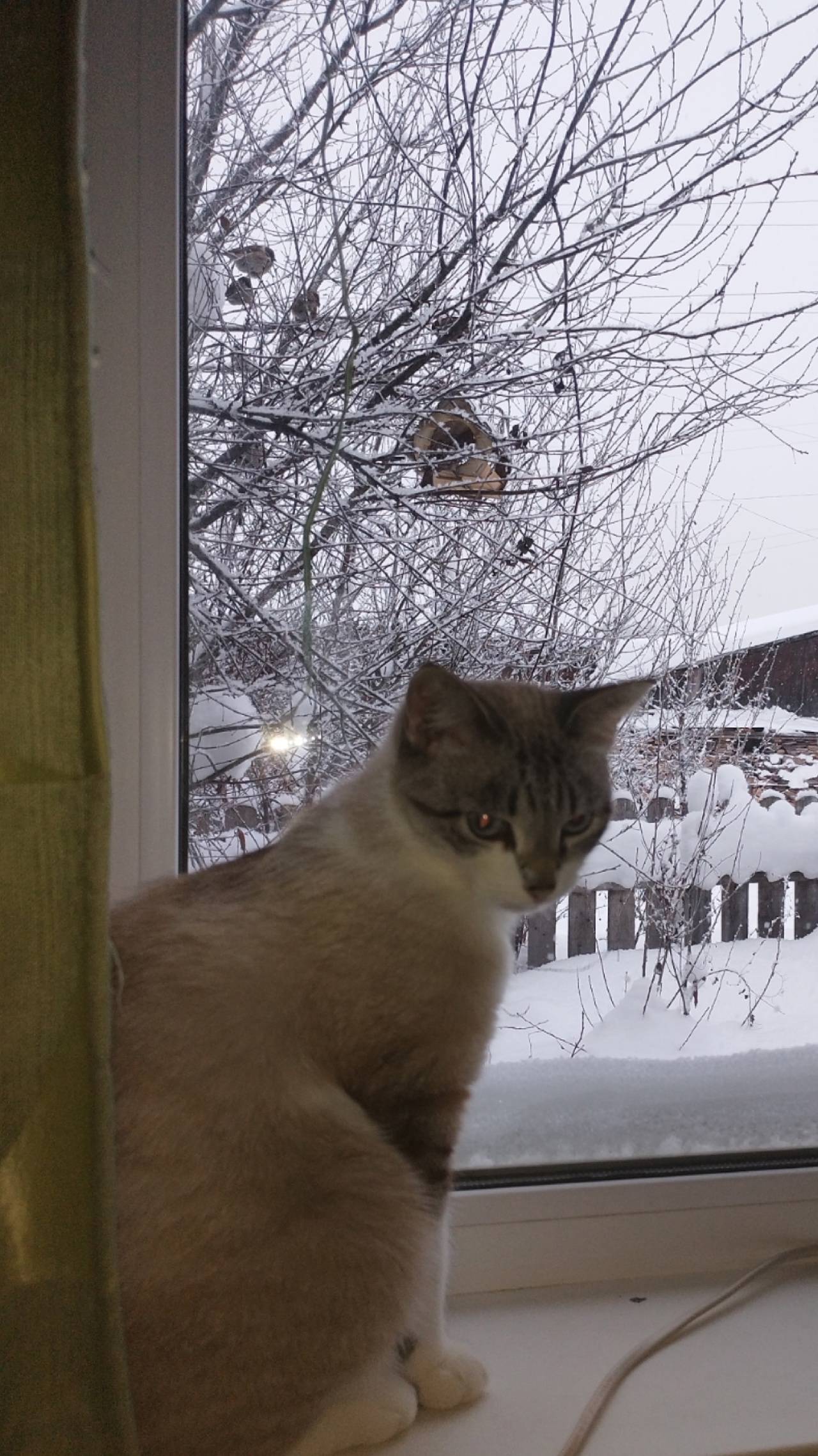 Огромная просьба, если кто-то ...