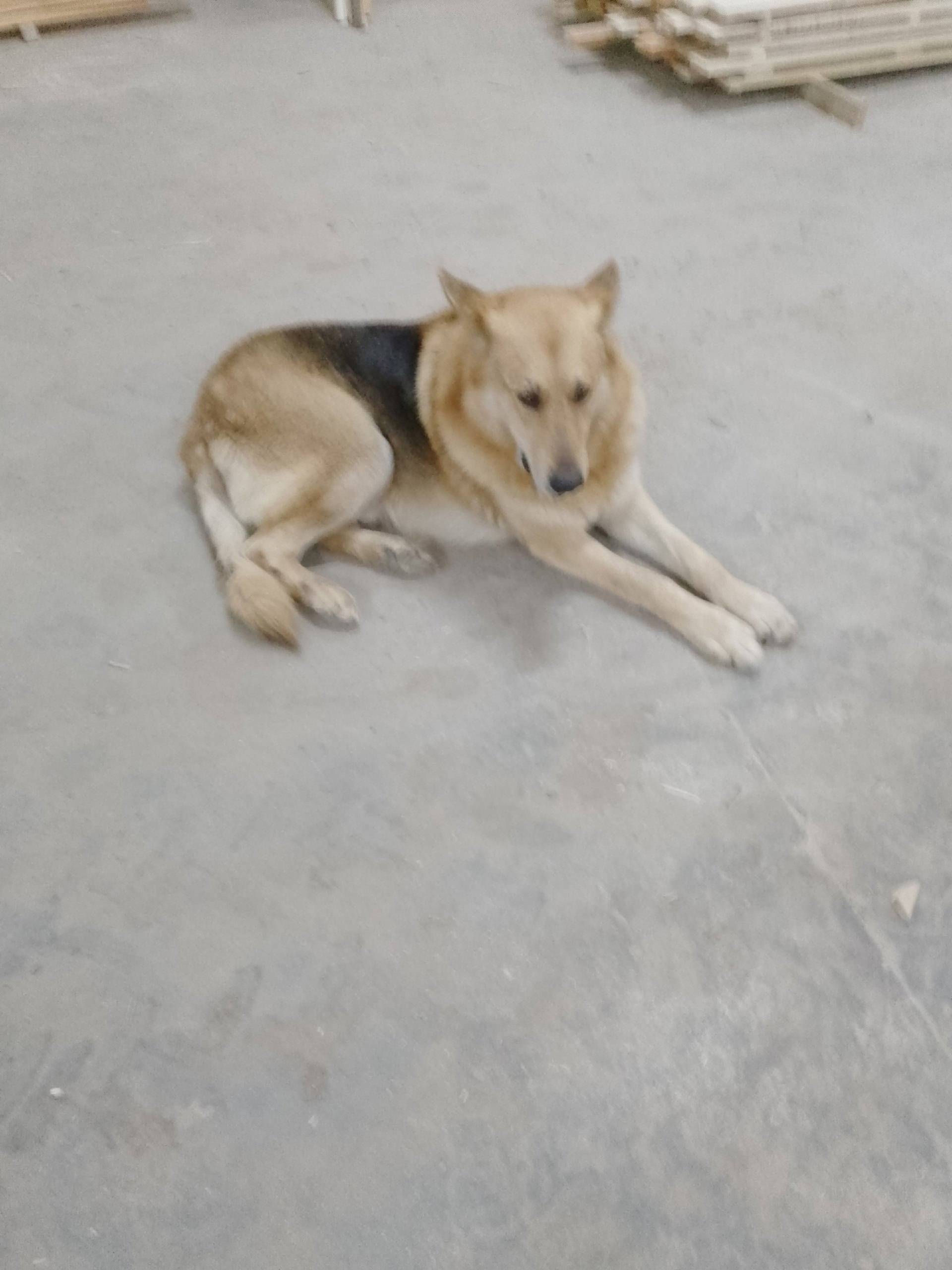 К нам на работу в Подборовье.....