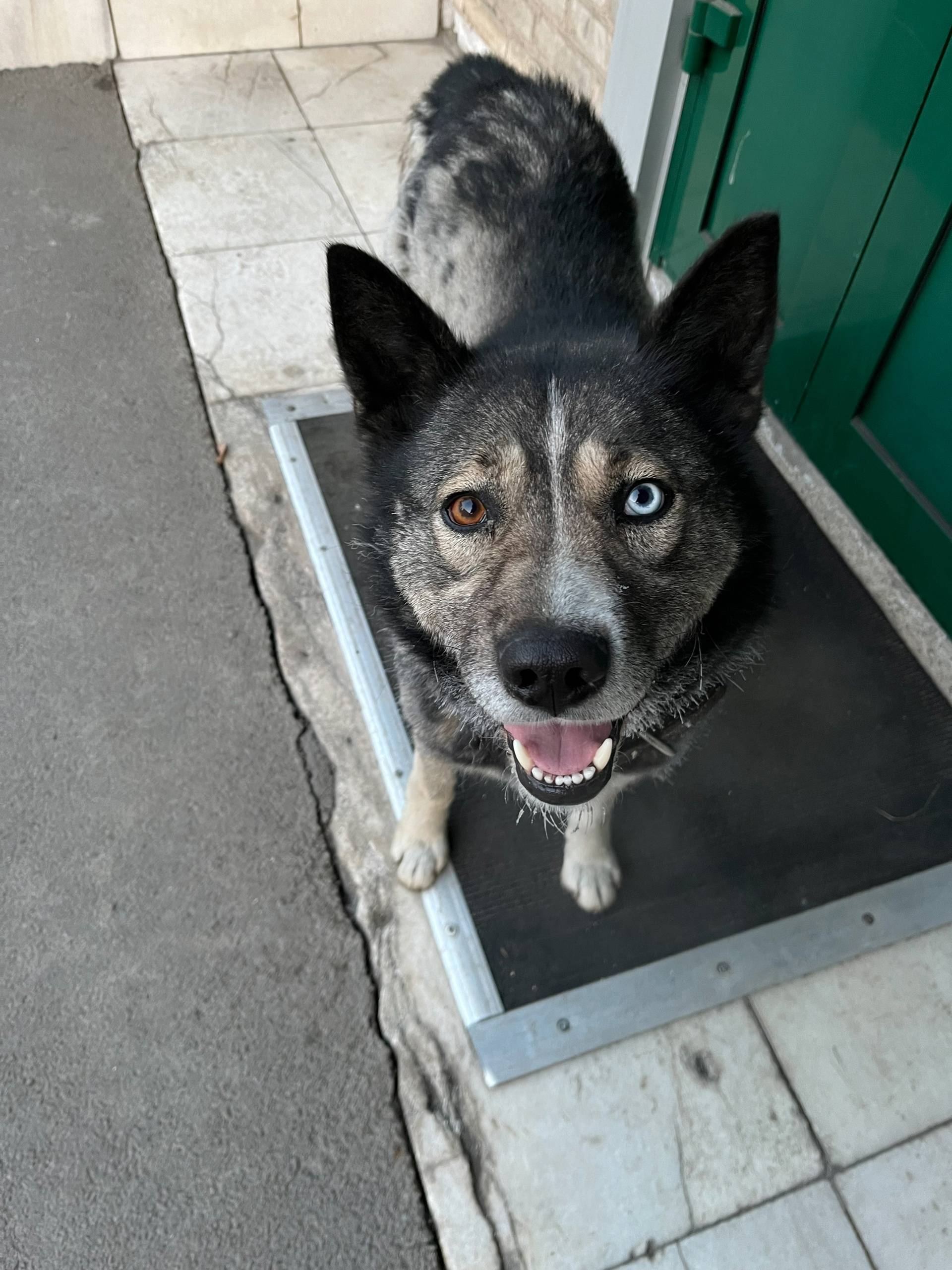 Добрый день. Ребята, кто потер...