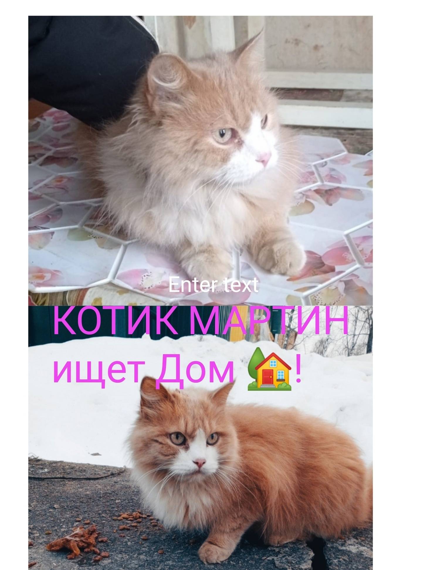 Мартин ( МАРТЮШКА) - классный ...