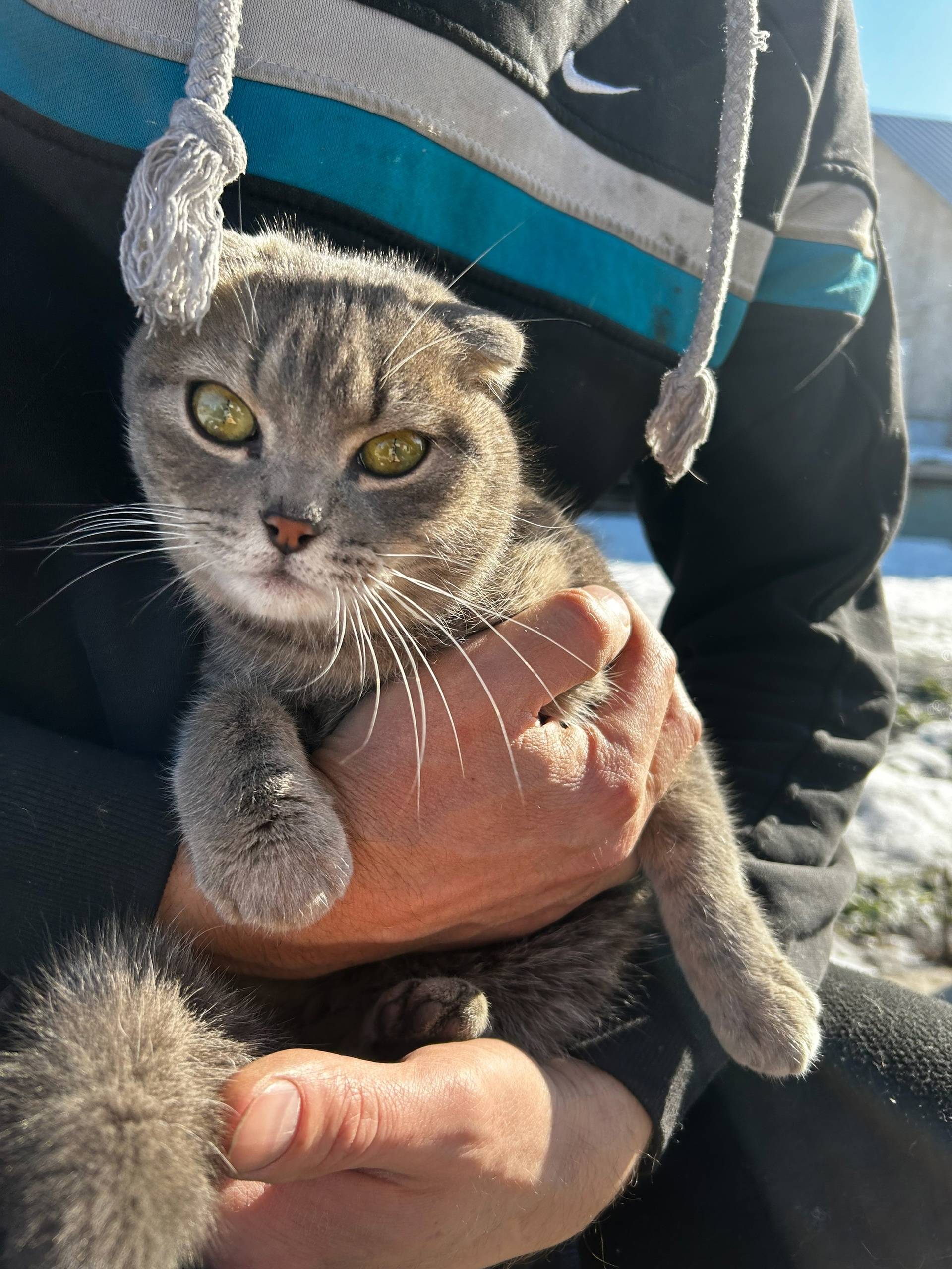 Добрый день!в районе Заречье ц...