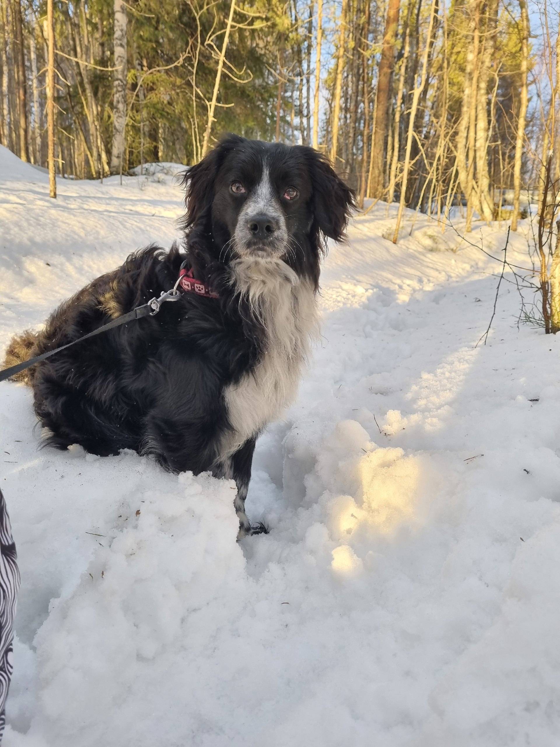 Здравствуйте! На территории ко...