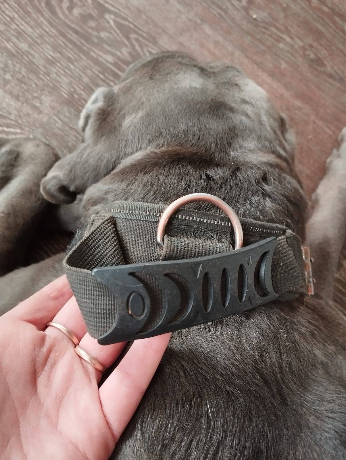 Друзья SOS !!! Питер и ЛО Мне....