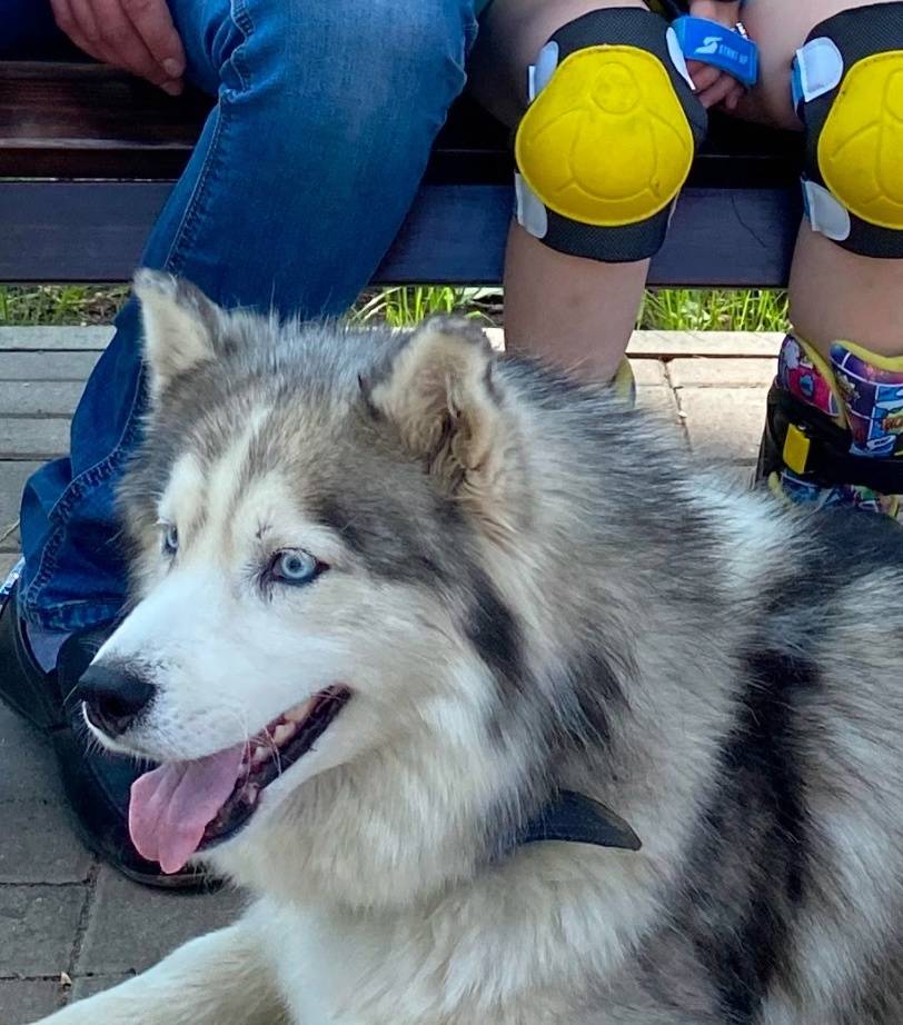 Здравствуйте. 12 марта с район...