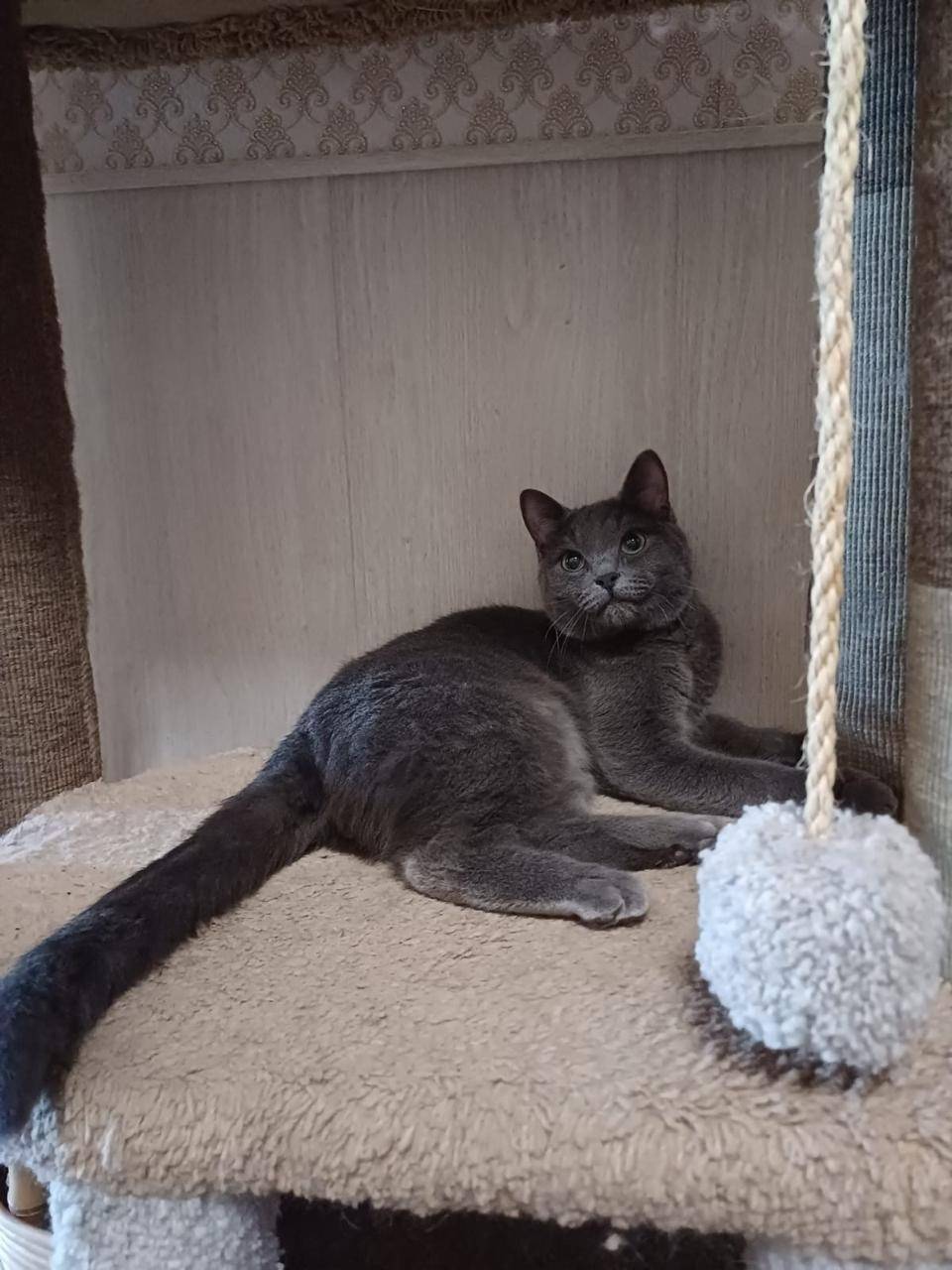 Москва, метро Беляево, улица М...