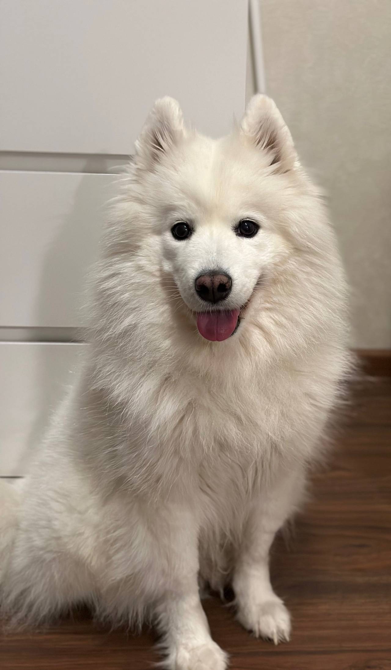 Мы верим, что сила ВК в...