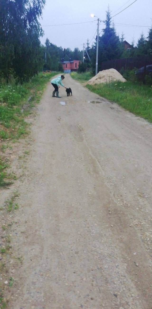 Однажды, я спасла собачку! Мы ...