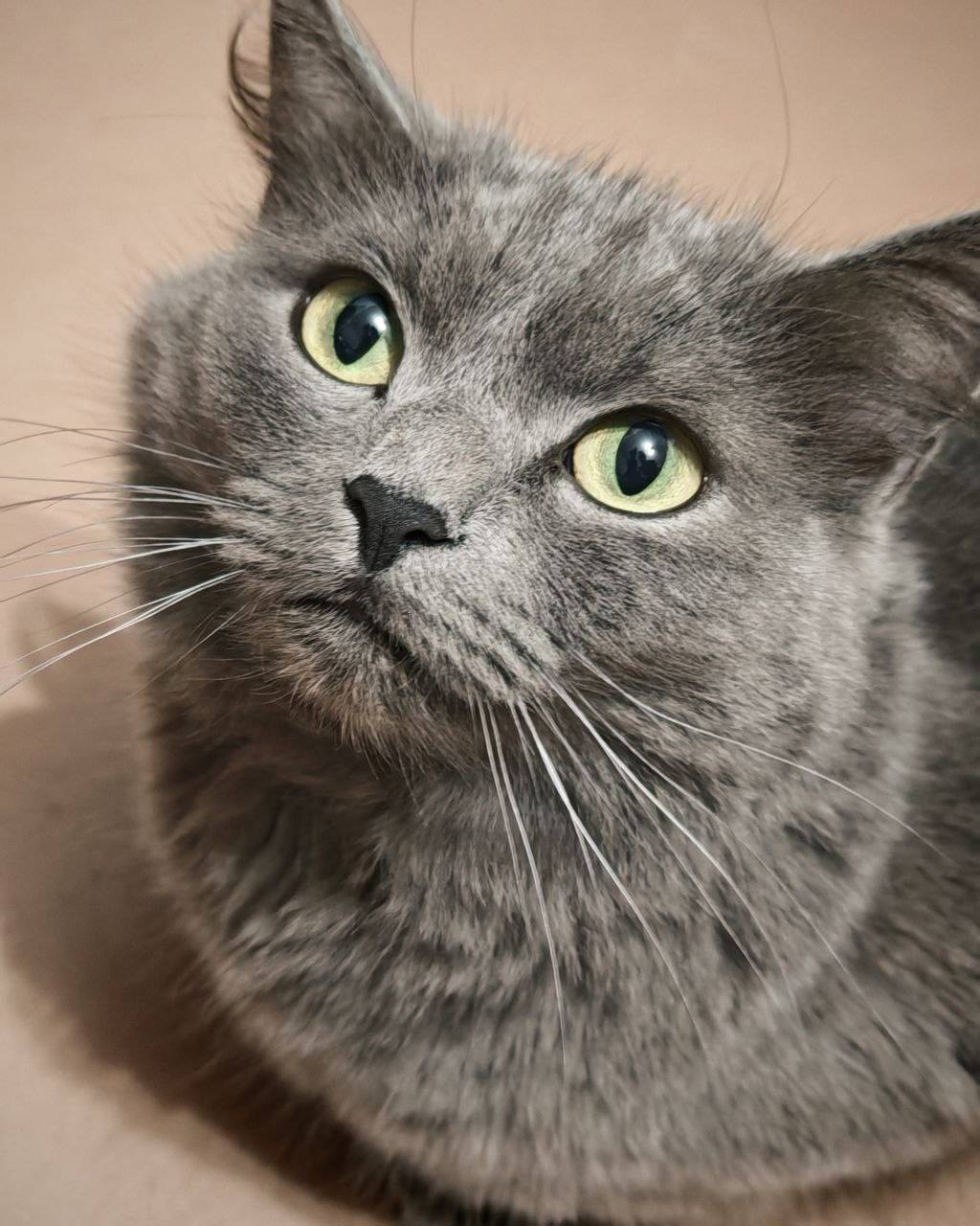 Мурманск. Разыскивается выпавш...