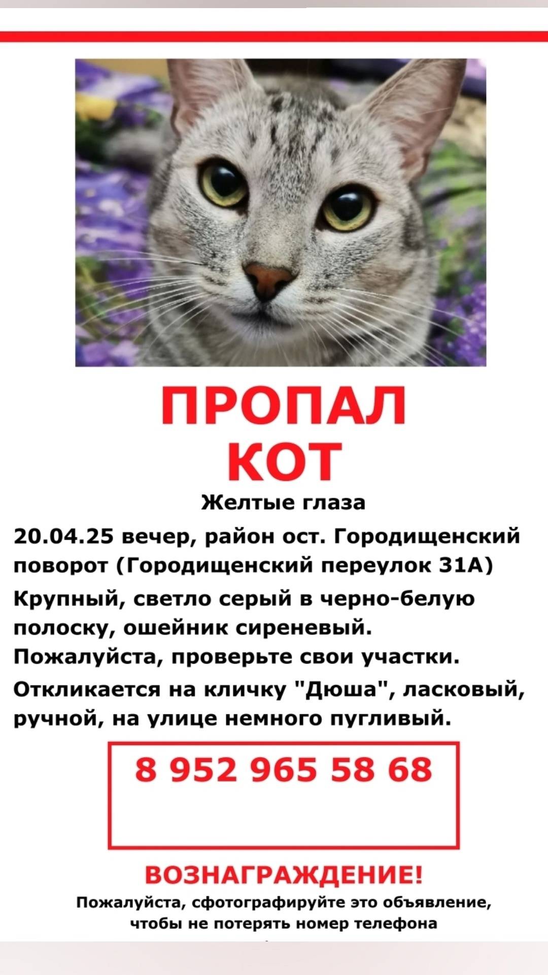 Пропал мой любимый кот!😥 район...