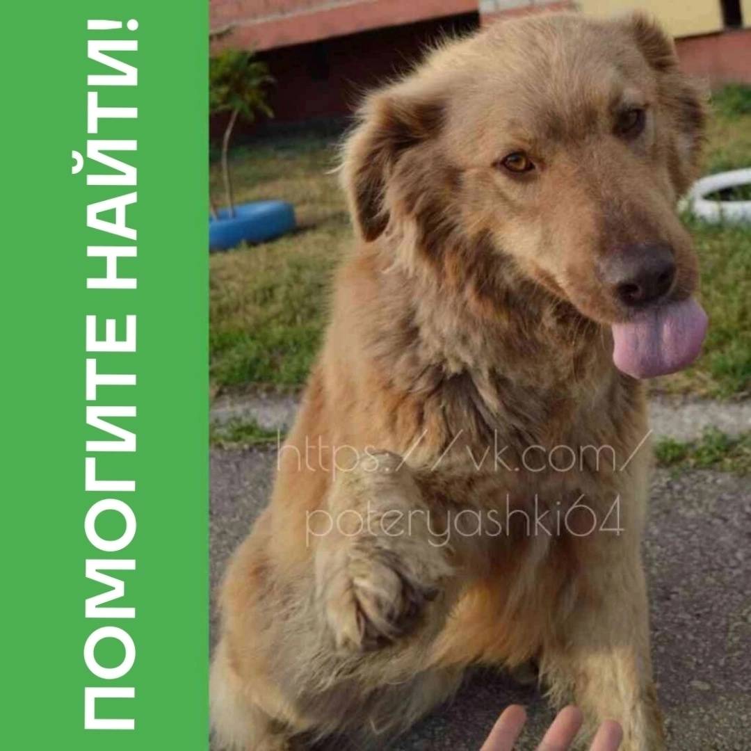 Энгельс, Колотилова, 155. 9 ян...