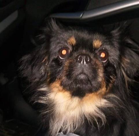 Обращаюсь ко всем неравнодушны...