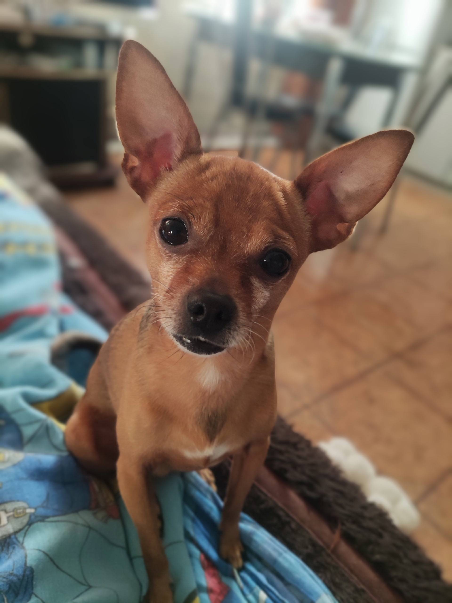 Не теряю надежду , продолжаю и...