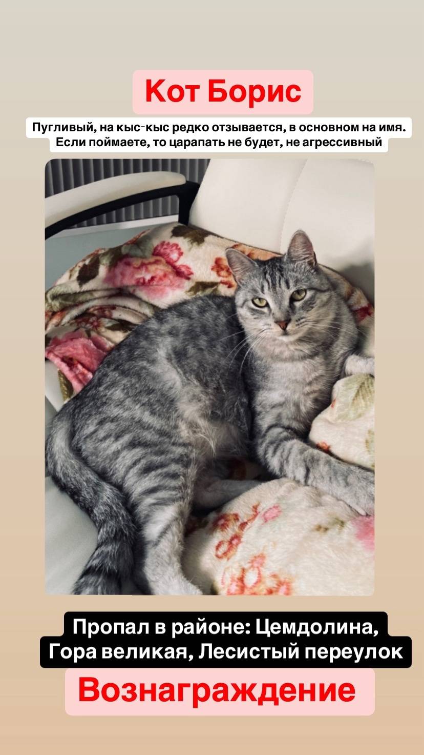 Дорогие участники группы добры...