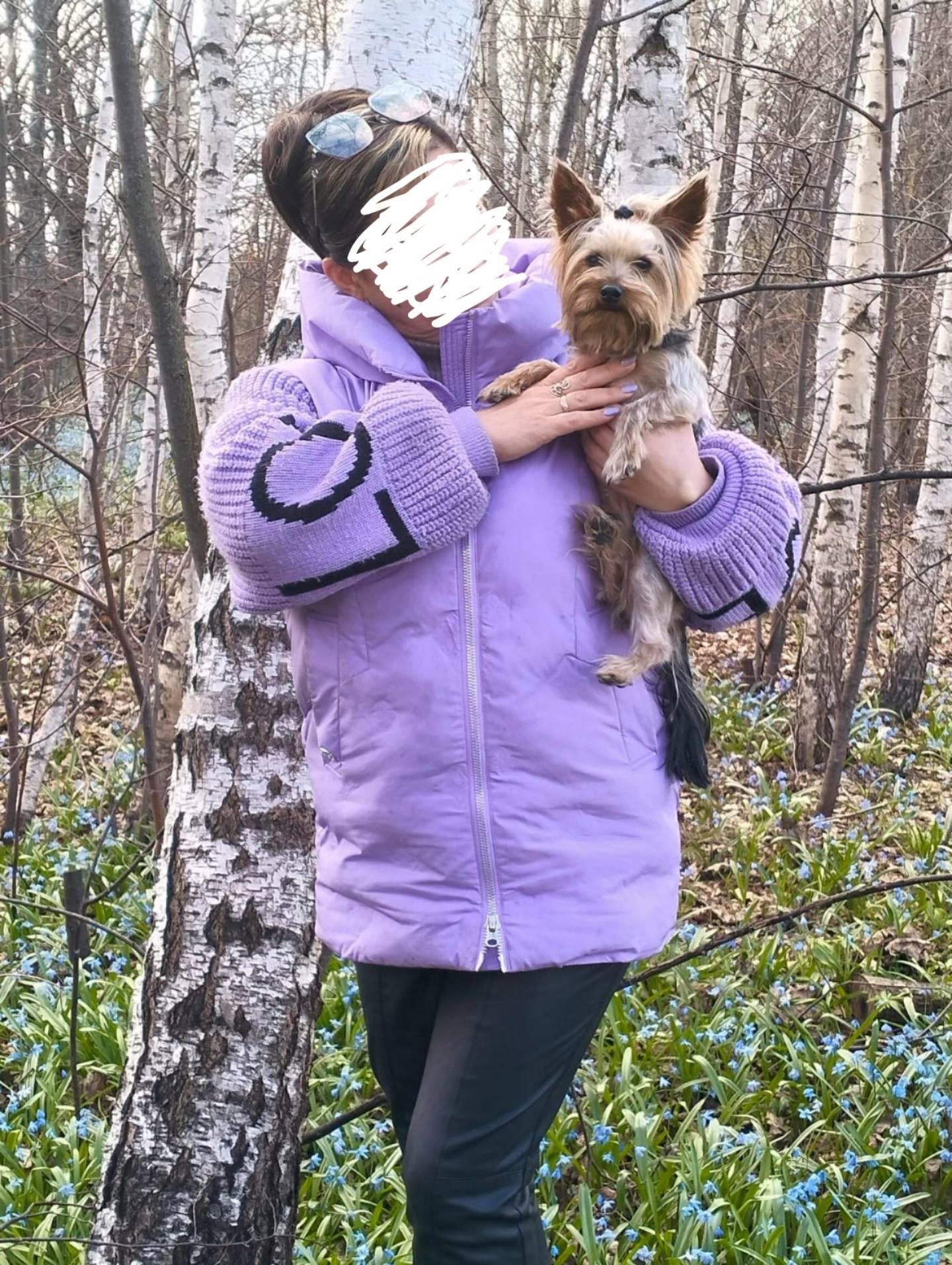 Потерялась собака в с. Жидилов...