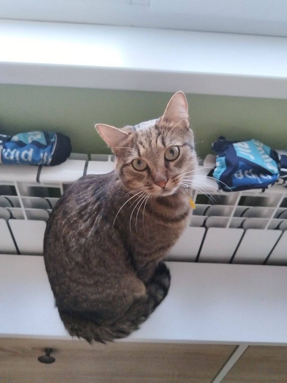 Дорогие жители Заволжского рай...