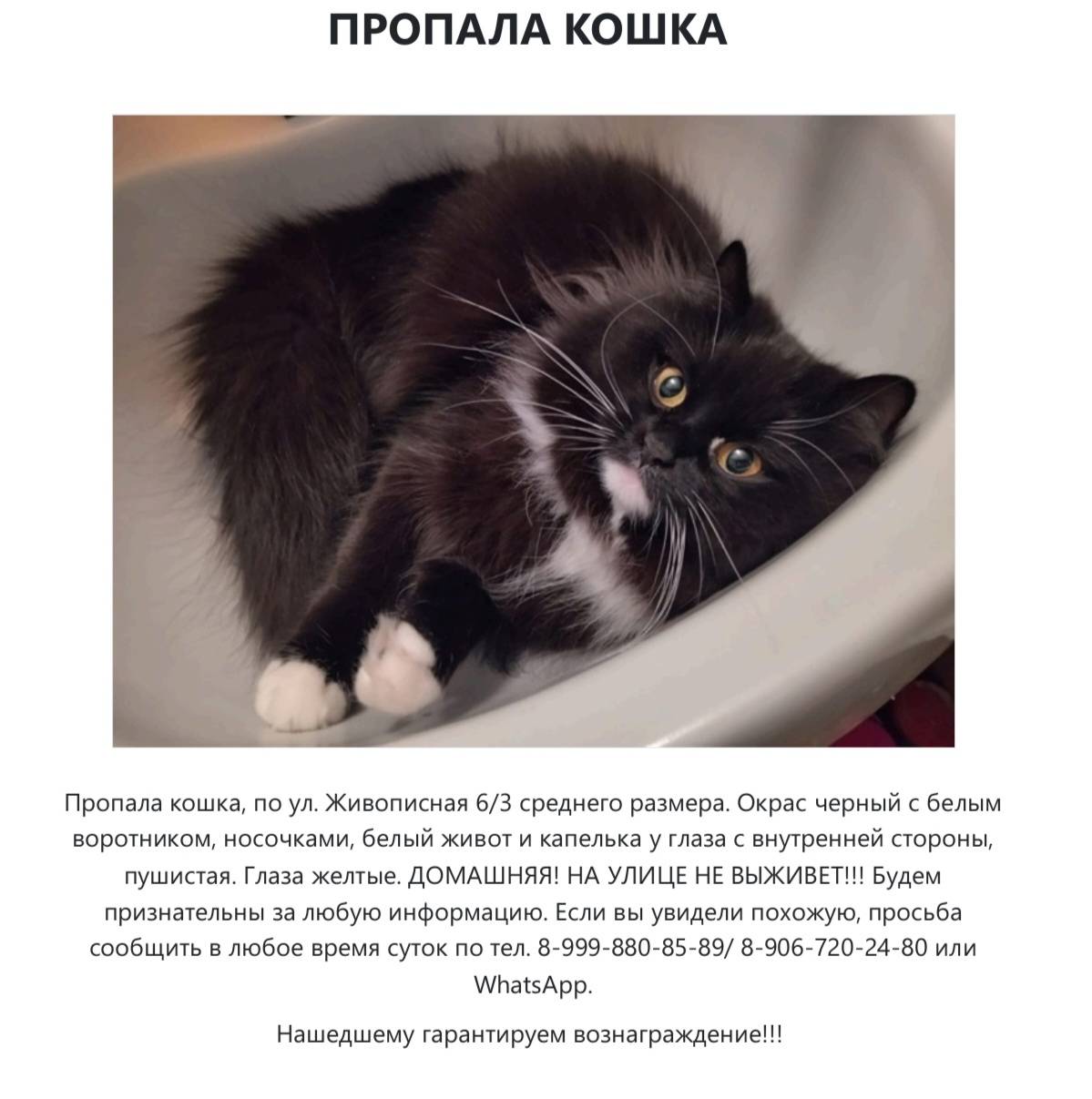 Москва, Хорошево Мневники. Про...