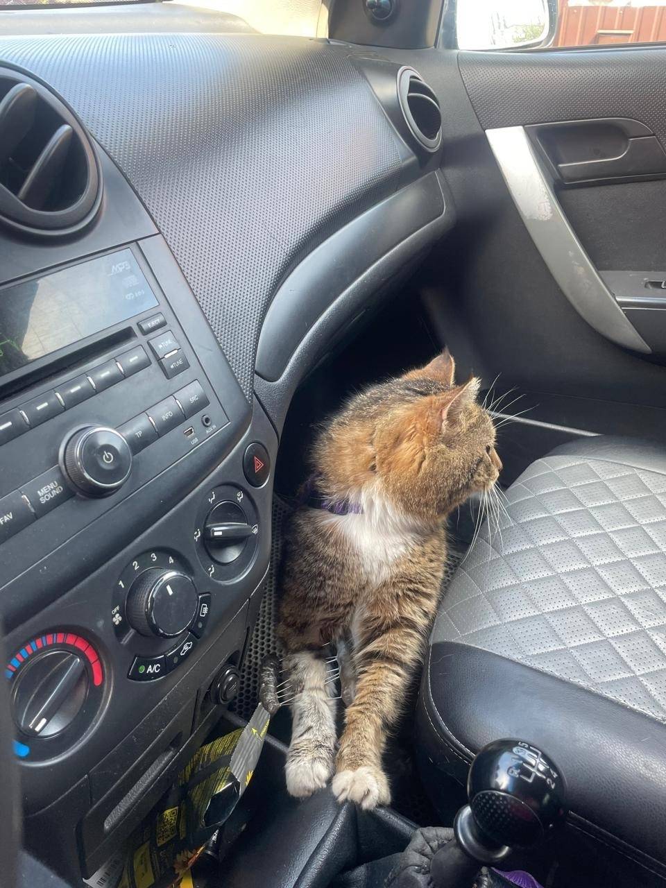 Вечером 10 июня в с.В...