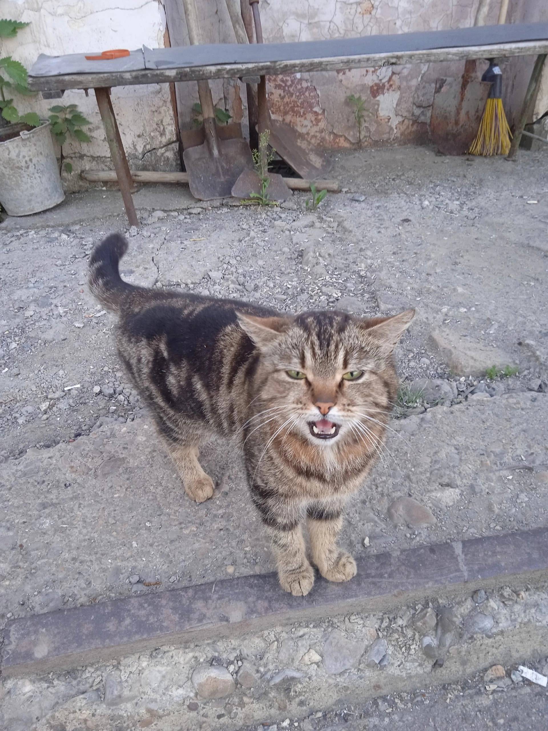 Очередной подкидыш???? Но очен...