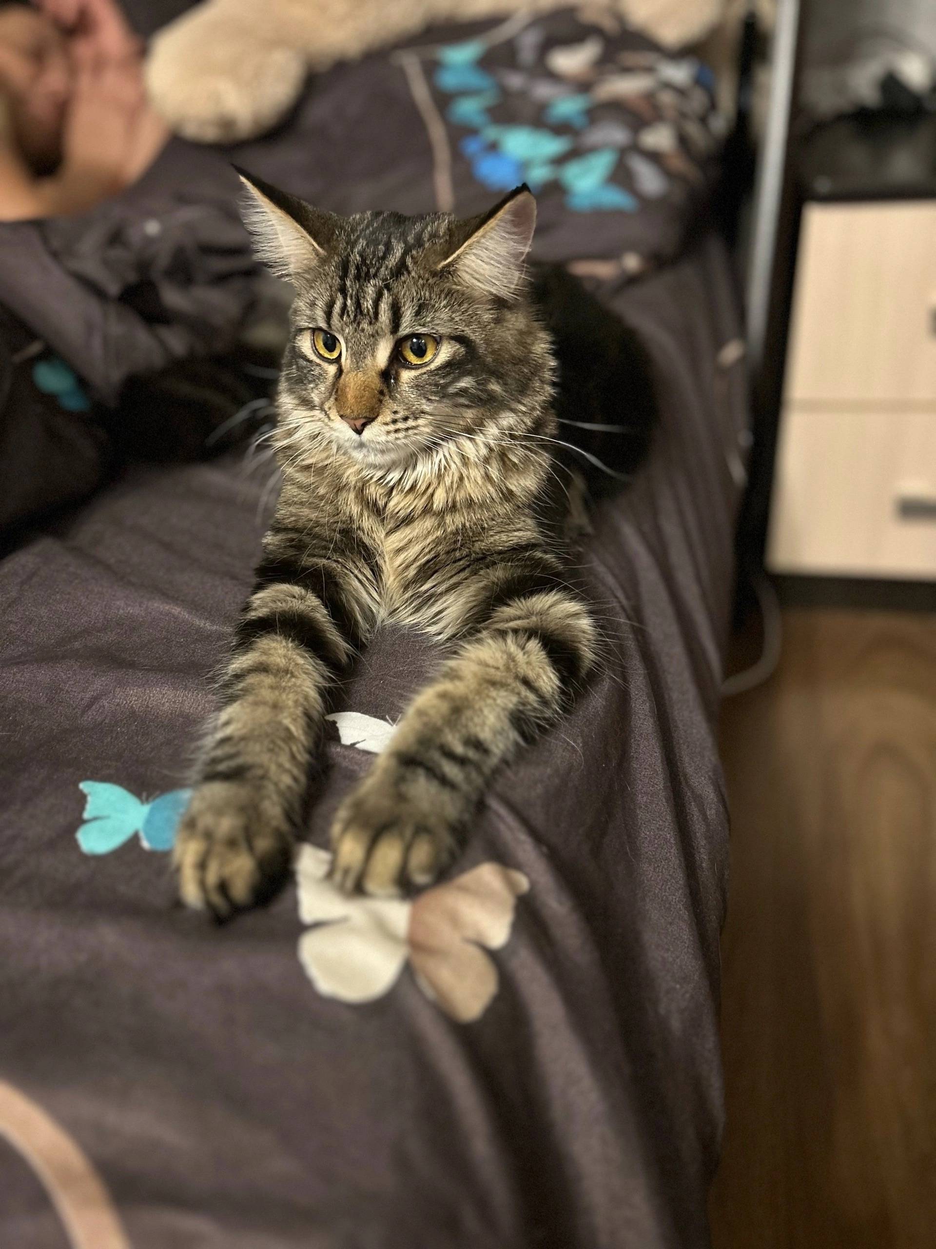 Прошу помощи!на Красноборской ...