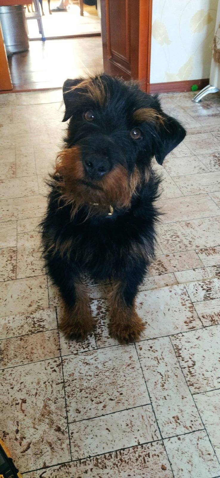 Добрый день, уважаемы подписчи...