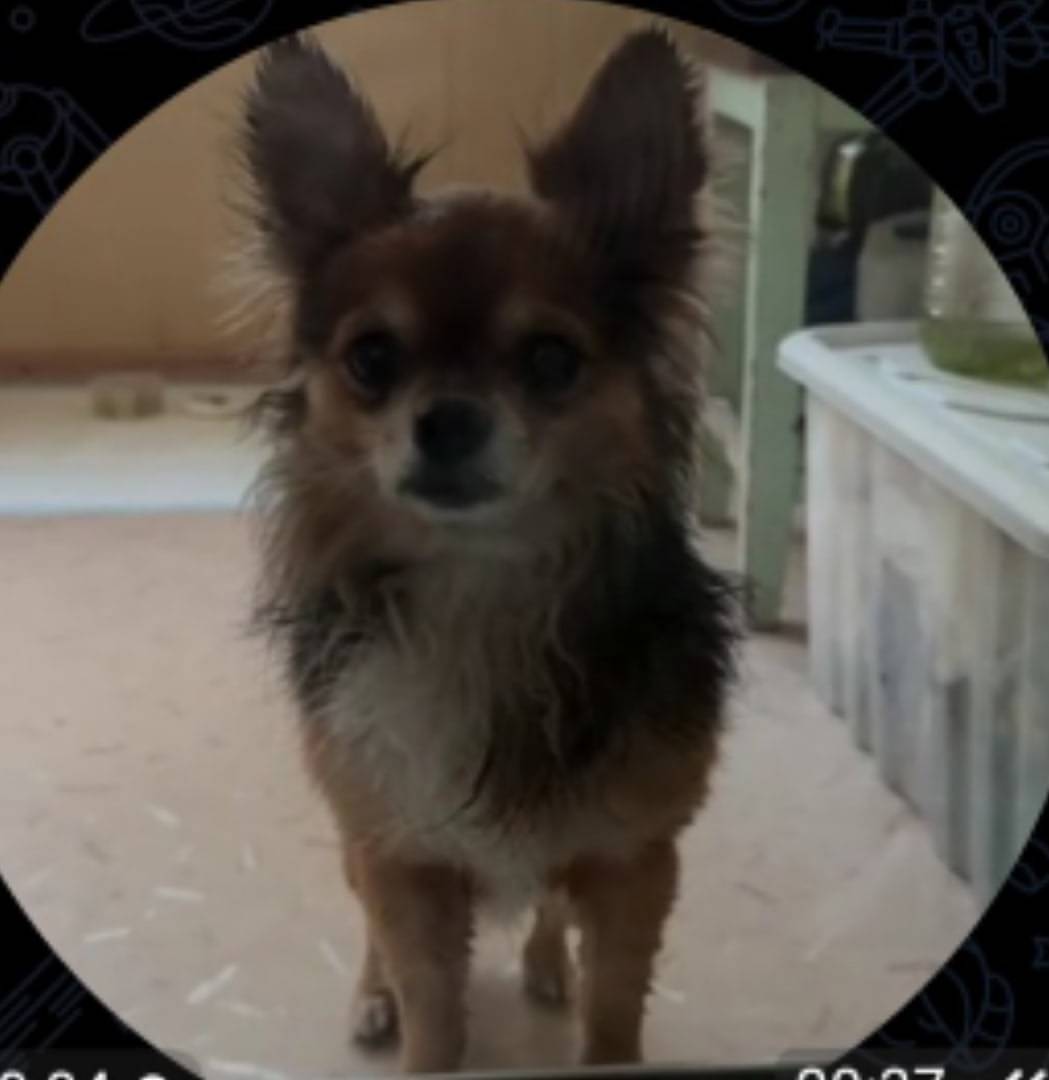 Саратов, Ленинский район, ул К...