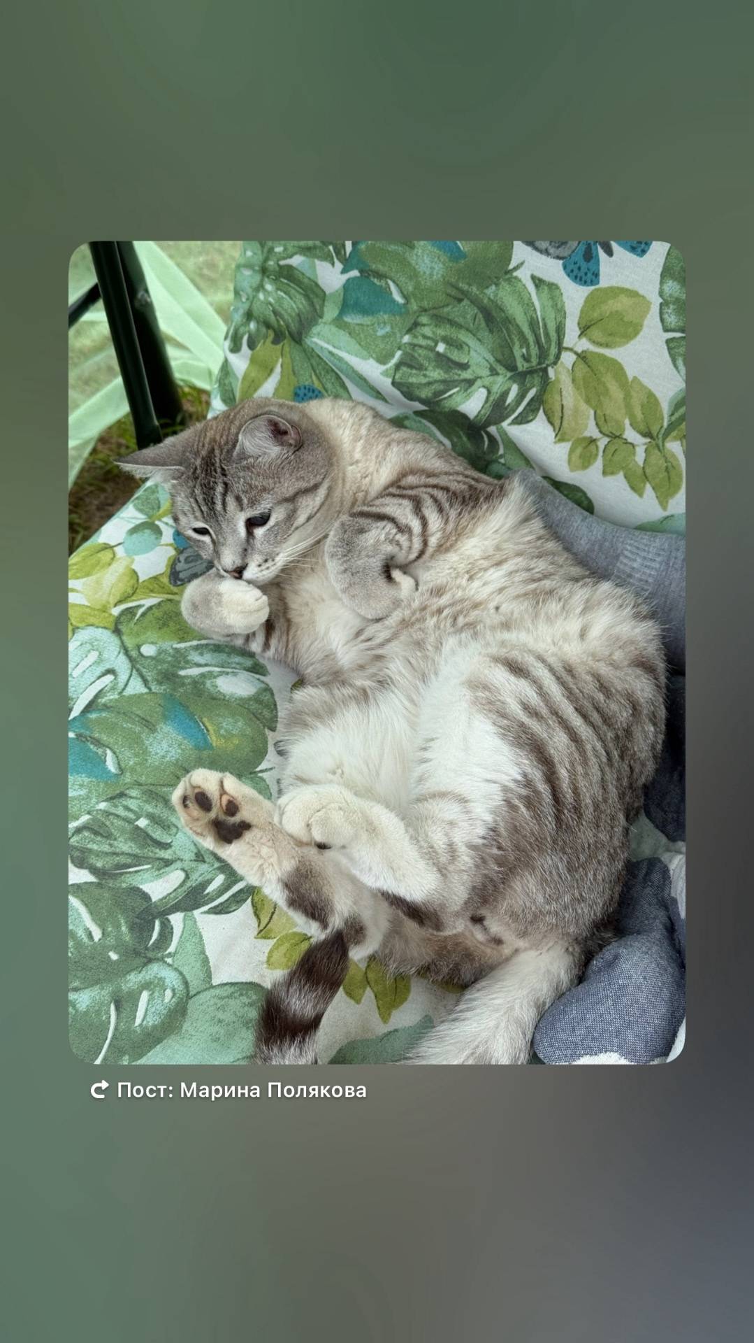 Пропал наш любимый принц😭😭 -ко...