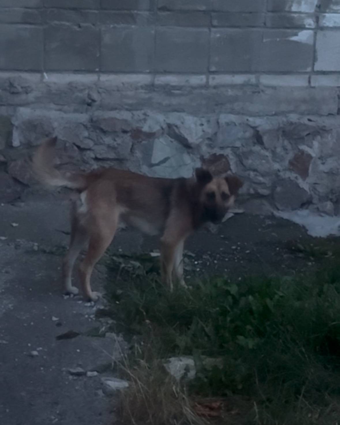 📍ул. Владимировская, Железнодо...
