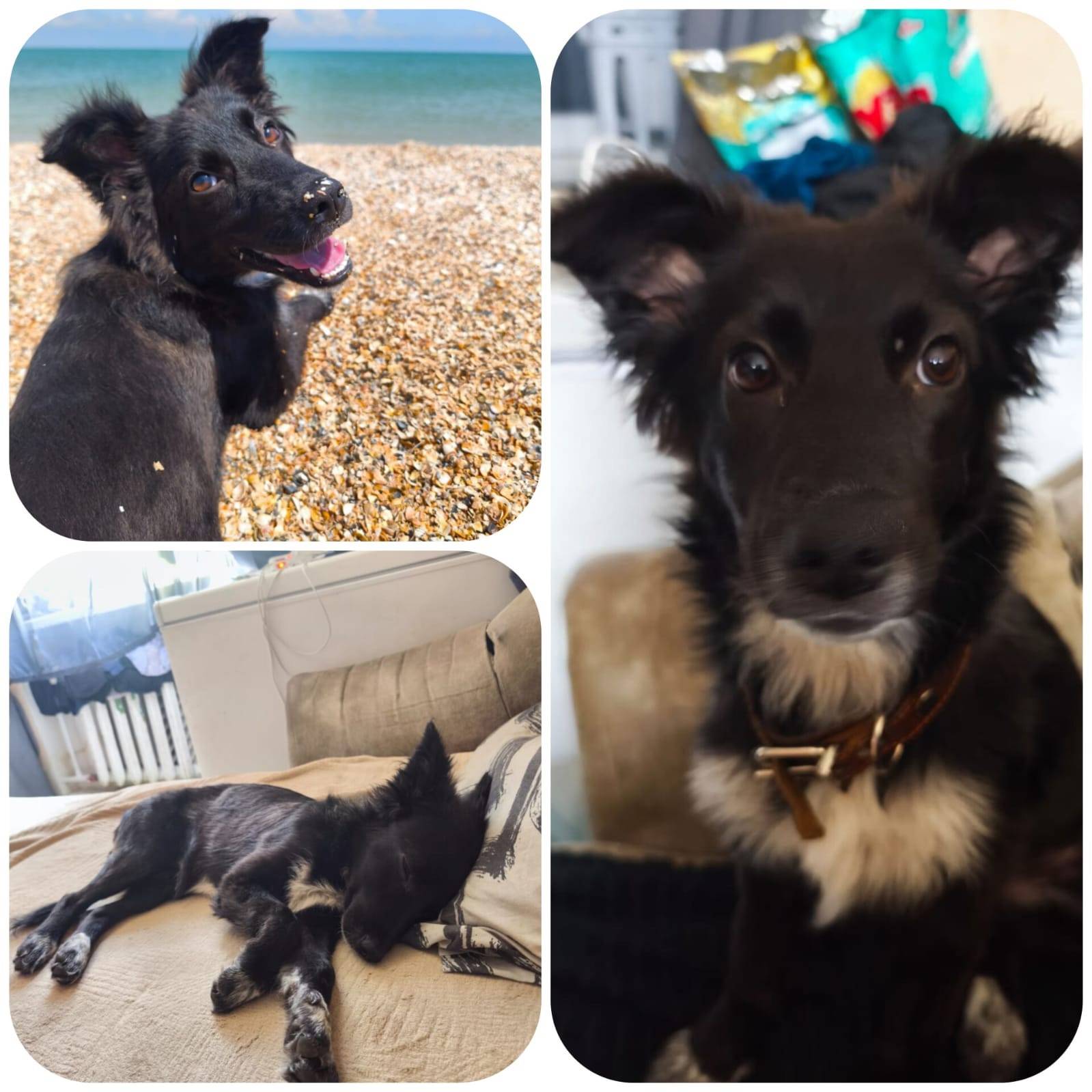 🆘🆘🆘🆘Ростов-на-Дону. 06.06 на.....