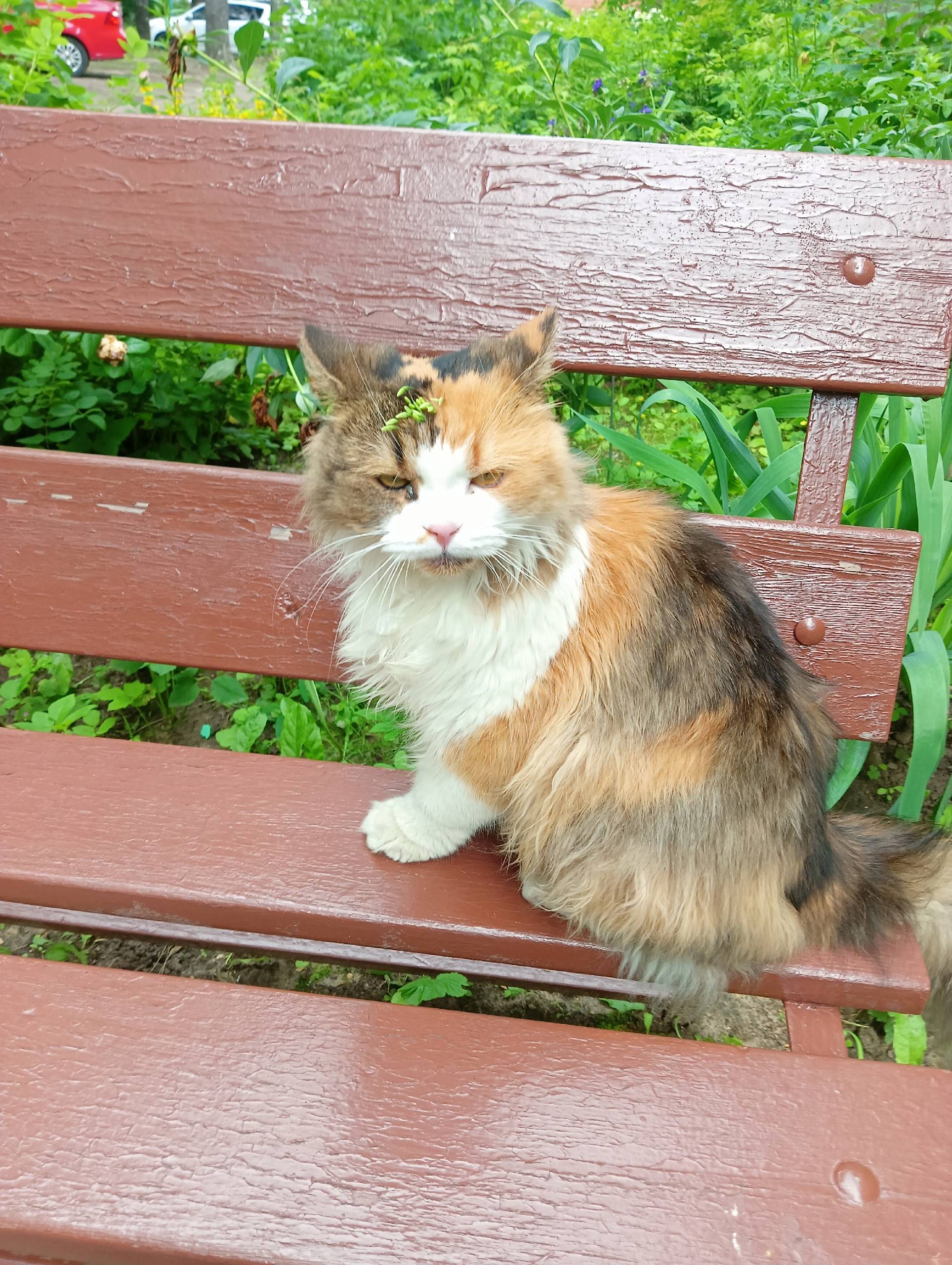 НАЙДЕНА (ЗАМЕЧЕНА) Никто не те...