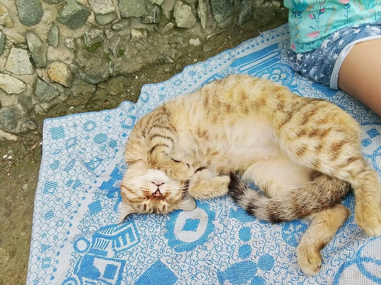 Добрый день всем! Сегодня днем...