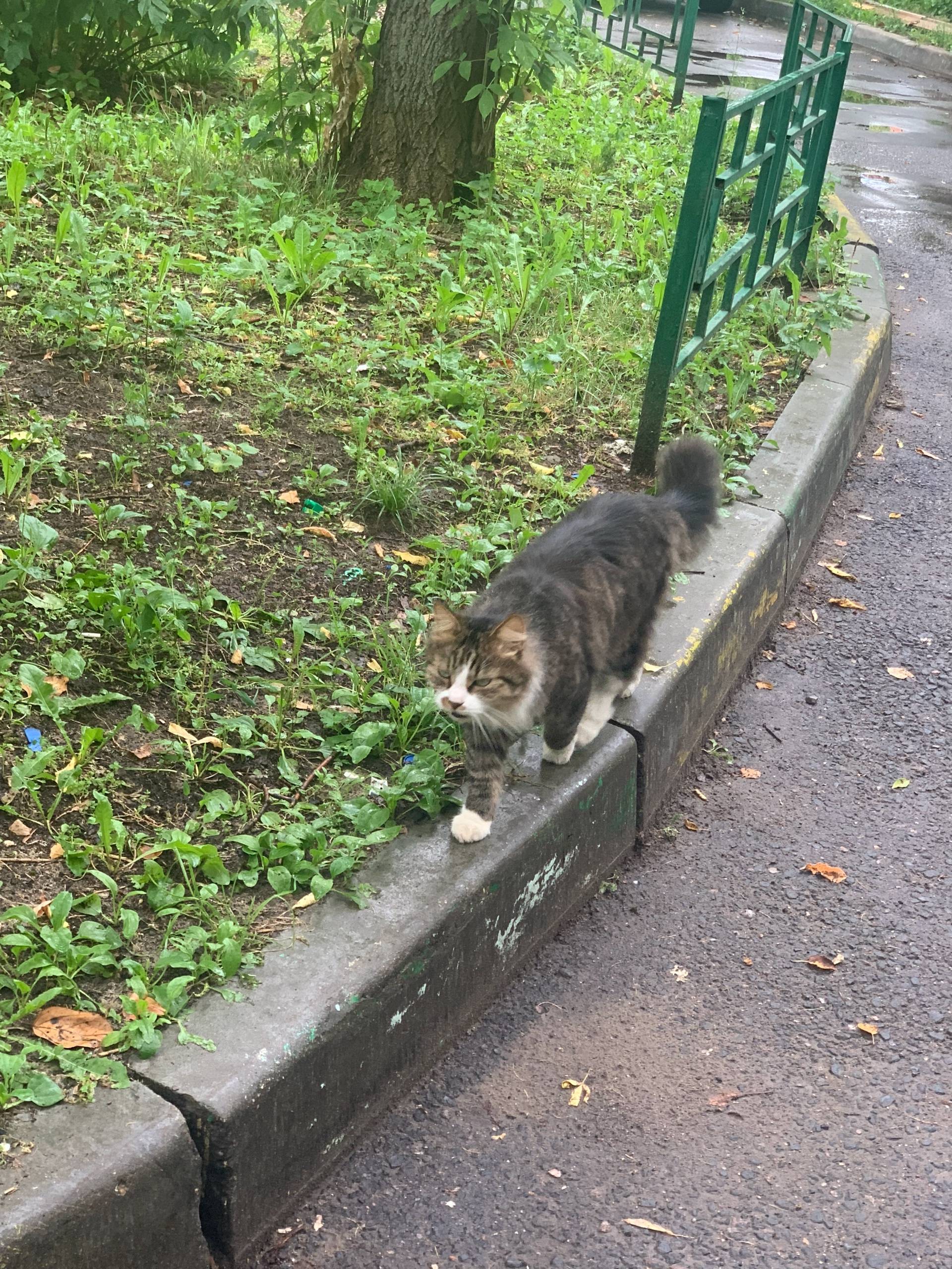 1 августа в районе Парковой 6....
