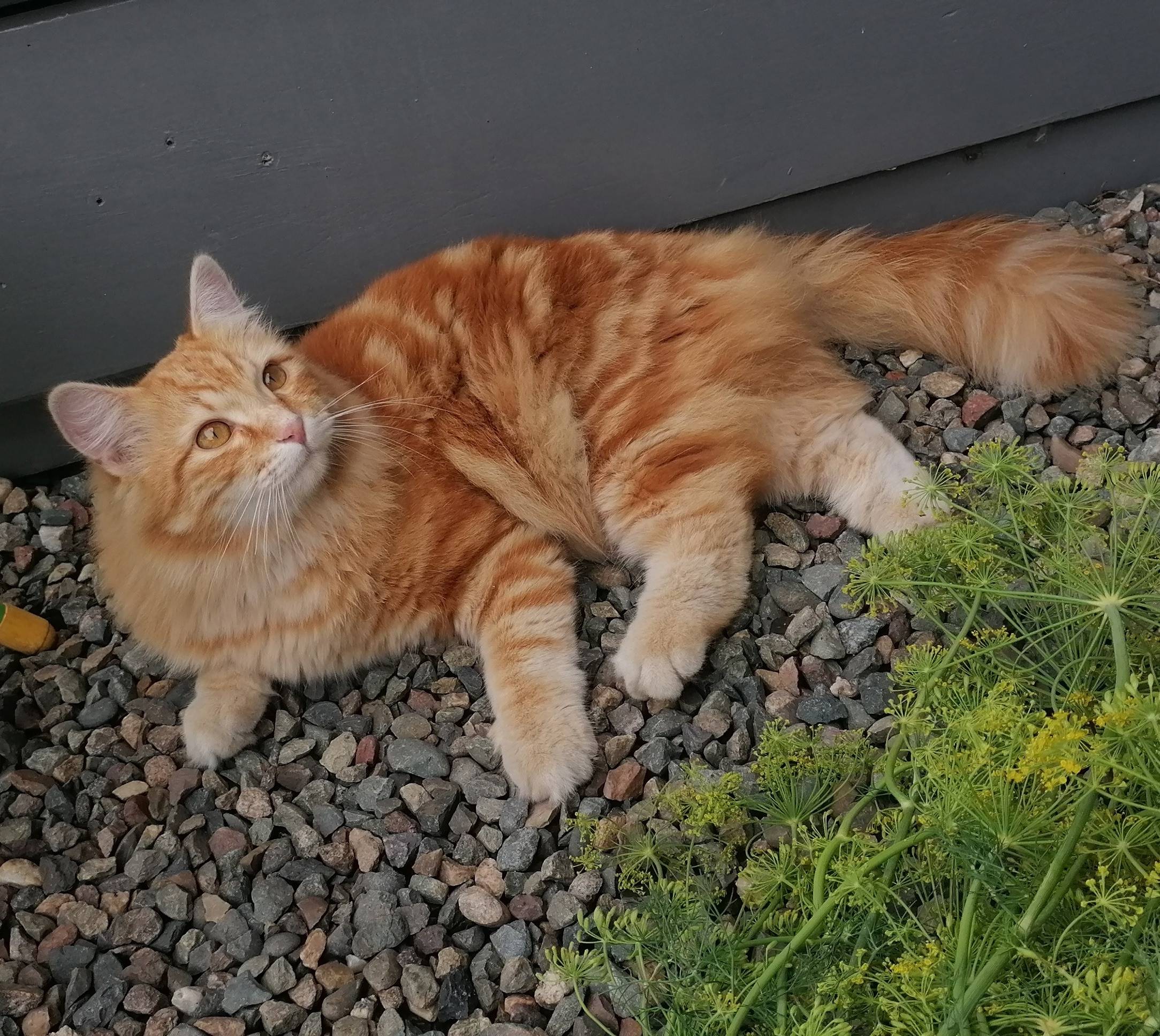 Всем доброго дня. У меня пропа...