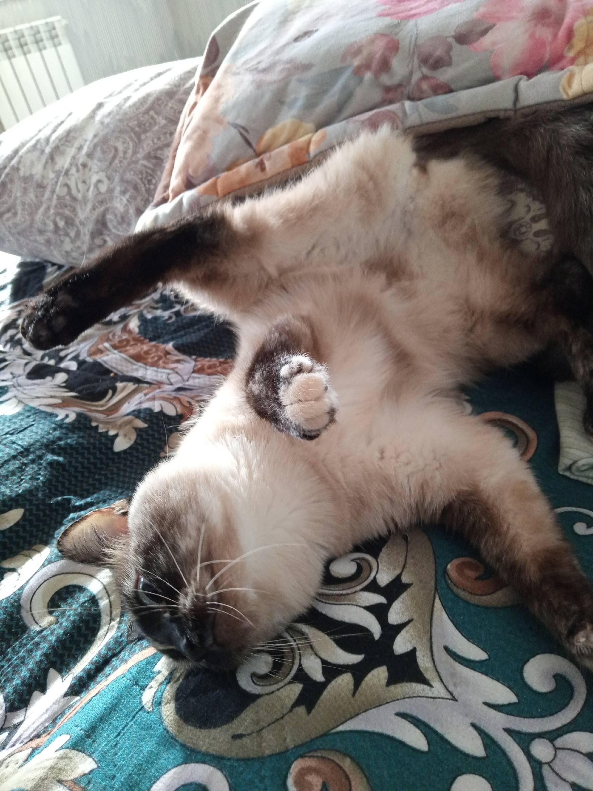 Недели 2 назад, так же в...