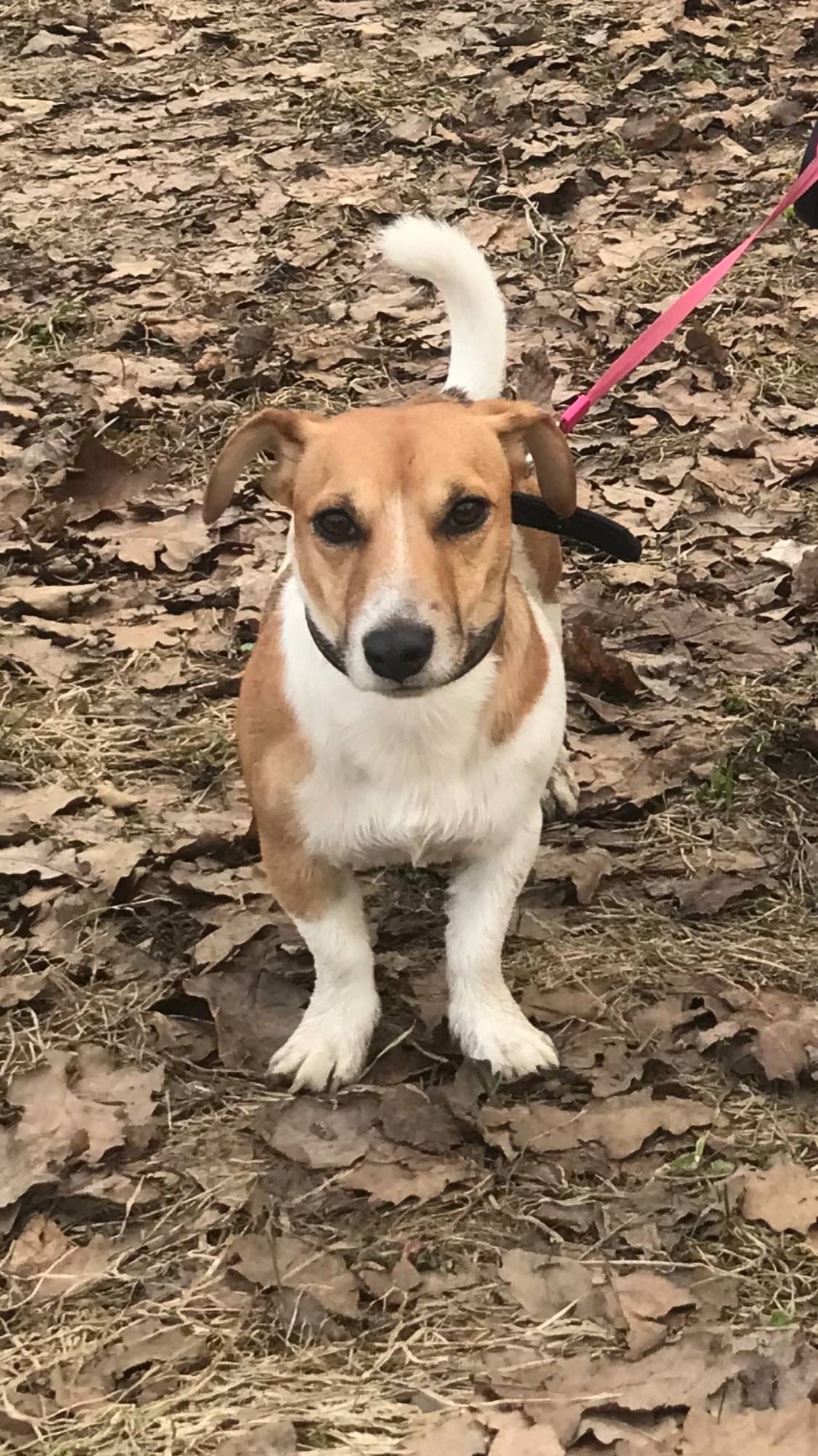 Доброго времени. 30.08.25 в...