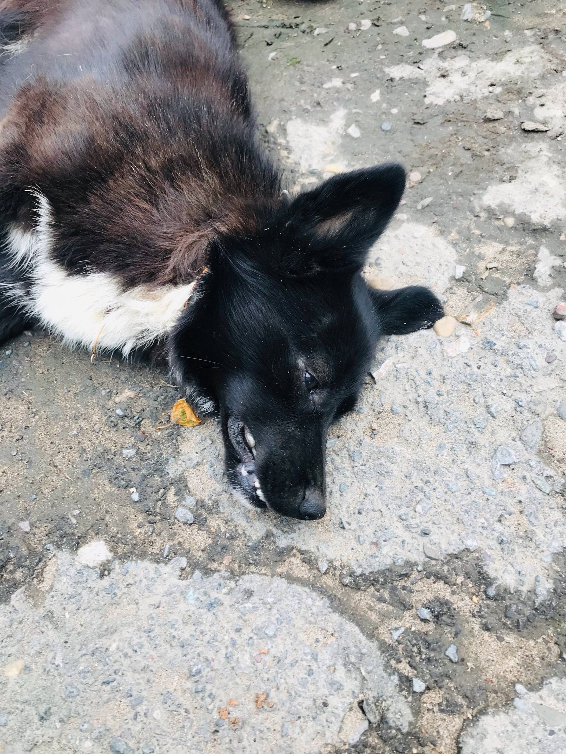 Несколько часов назад на ул. П...