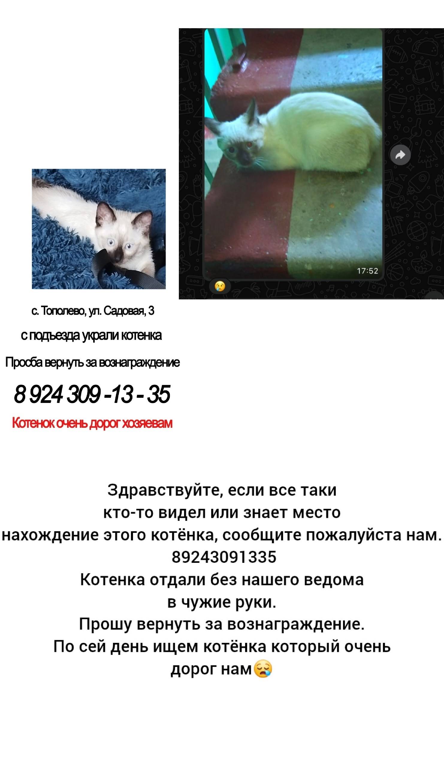 Пропал котенок по имени '' Кра...