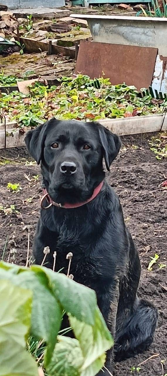 Добрый вечер! На конечной оста...