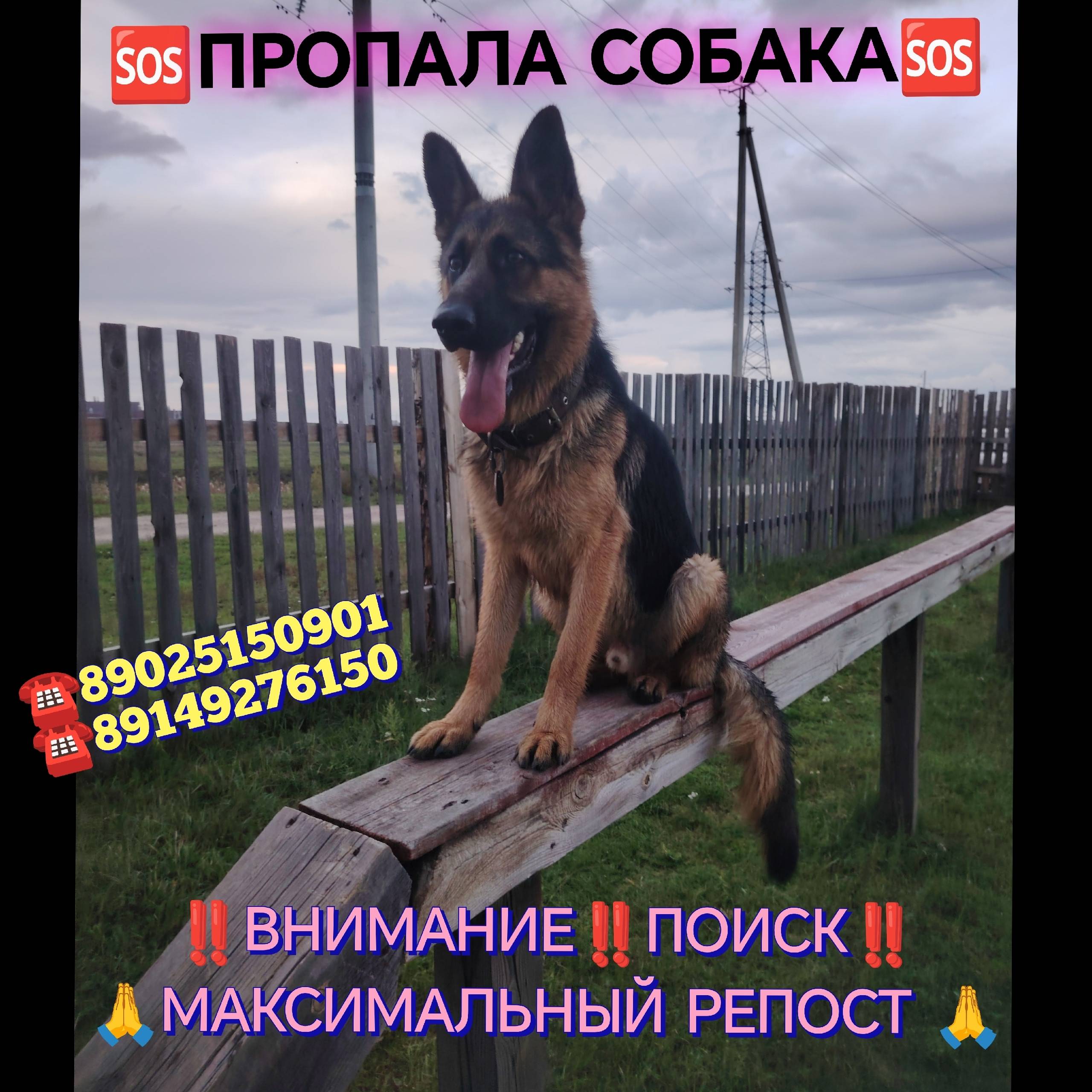 Админ размести пожалуйста 🙏 ‼️...