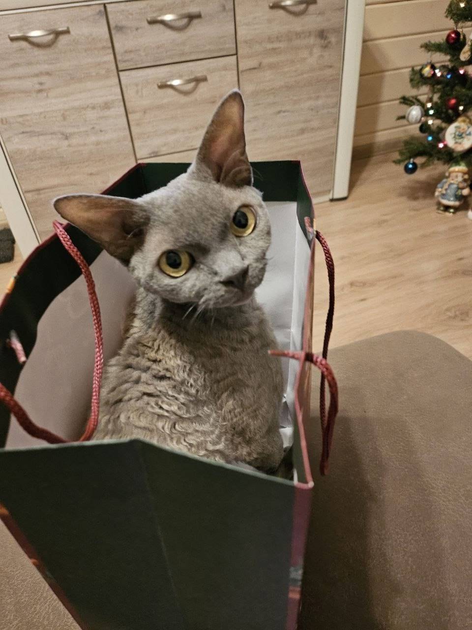 21.09.25 по адресу ДНТ...