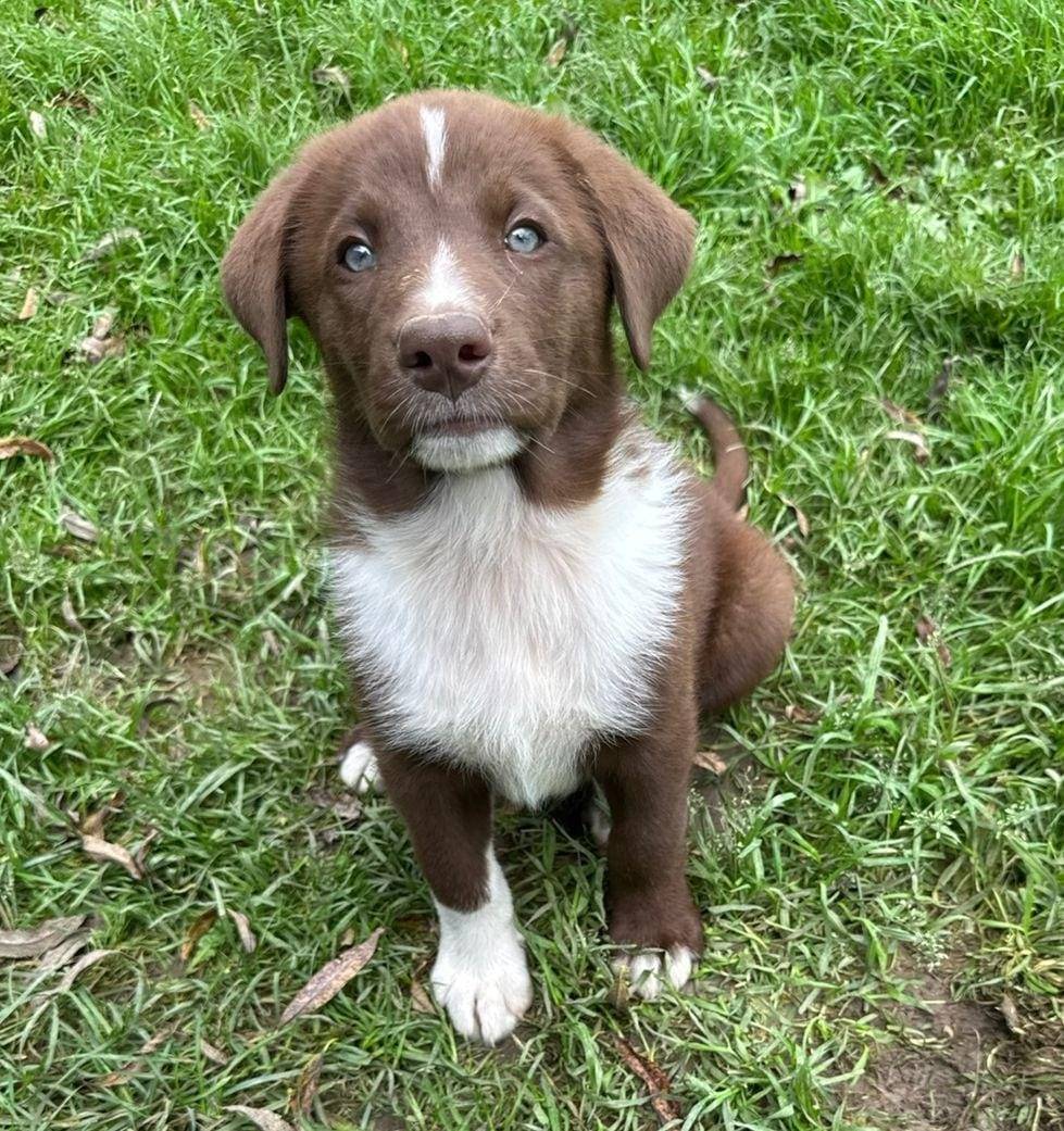 🆘 Постоянно плачет, просит пом...