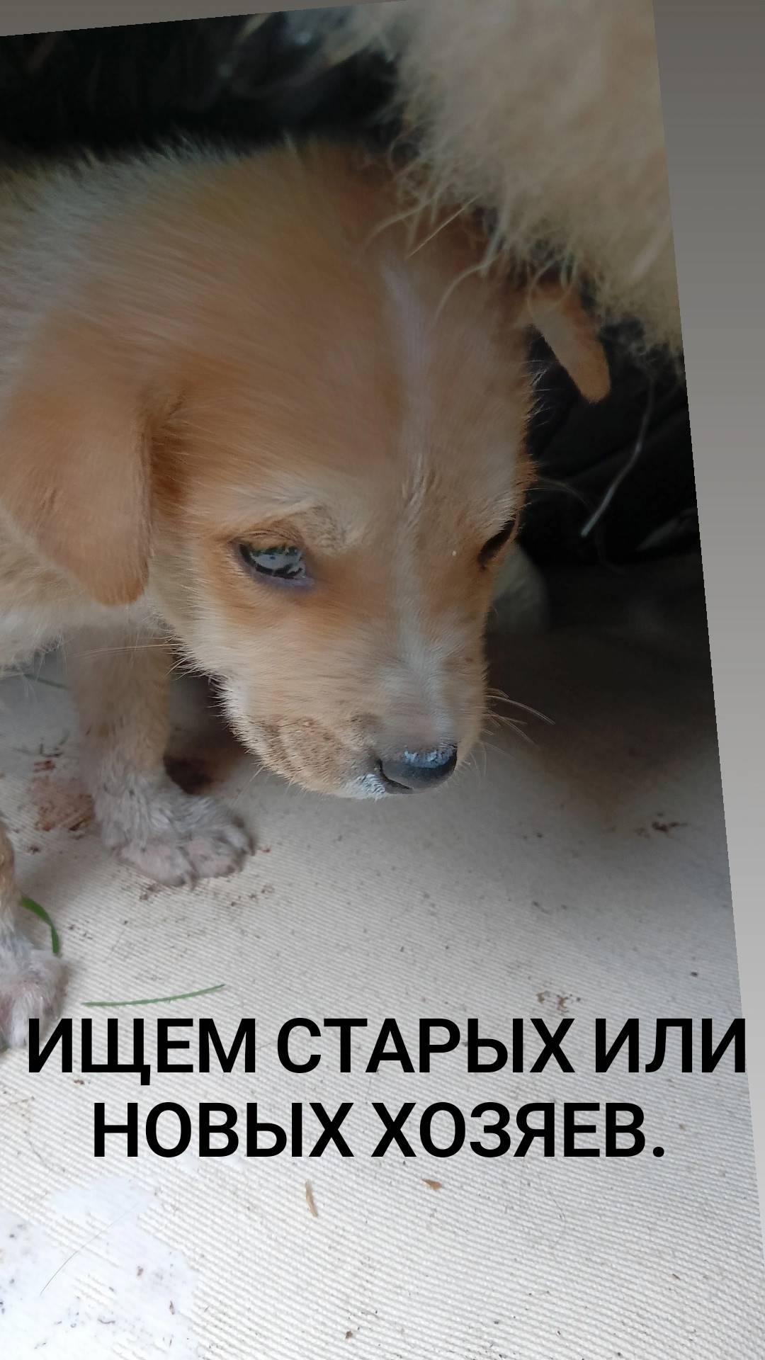 Доброе утро! Вчера на оживлённ...