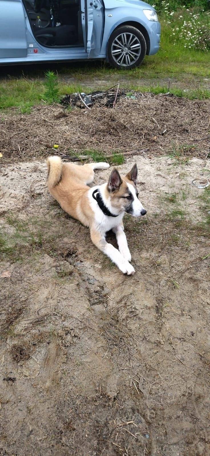 Сегодня в районе старой Нягани...