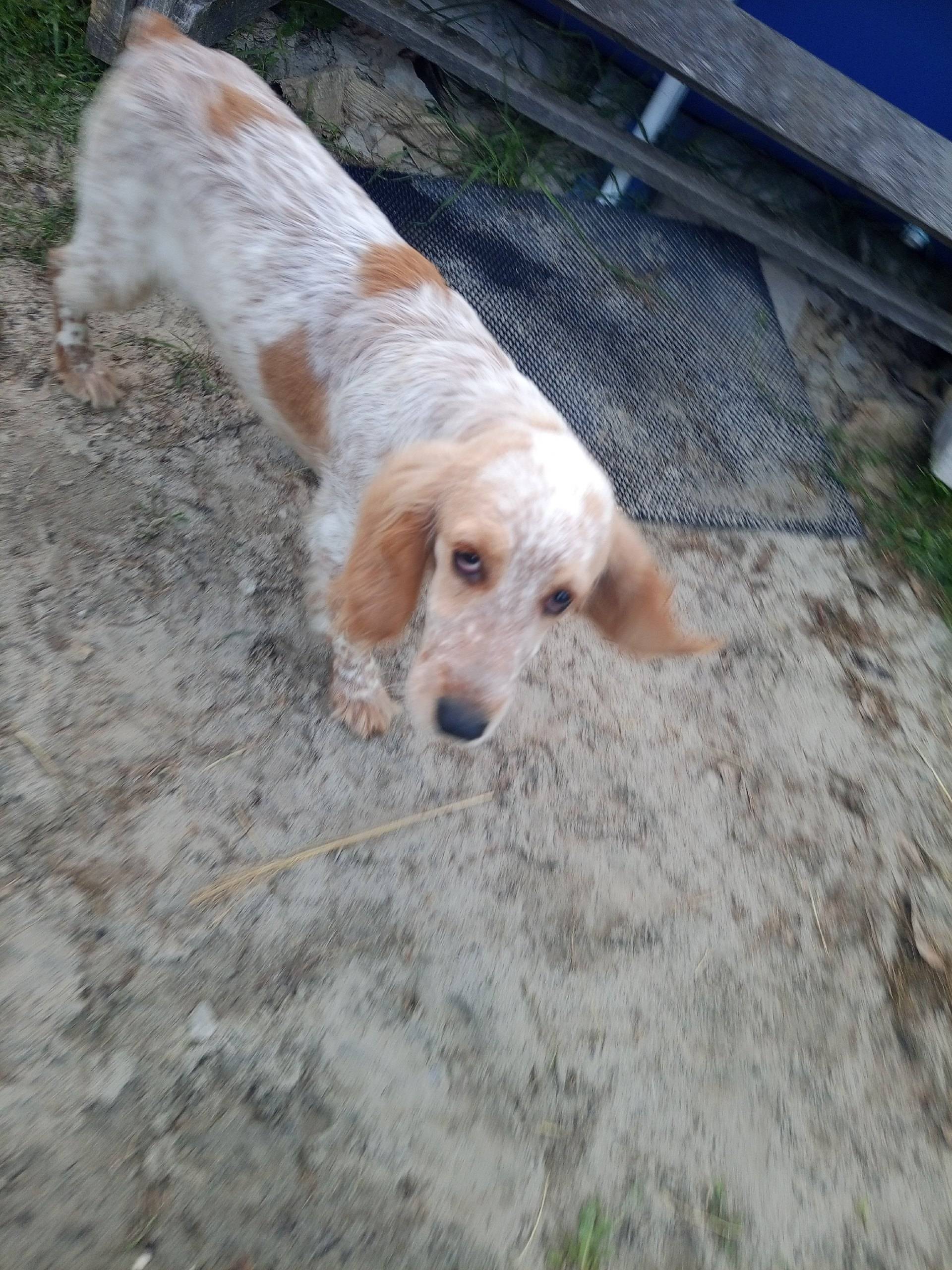 Опубликуйте пожалуйста Найдена...