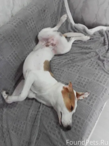 Всех с Новым годом ,из-за...