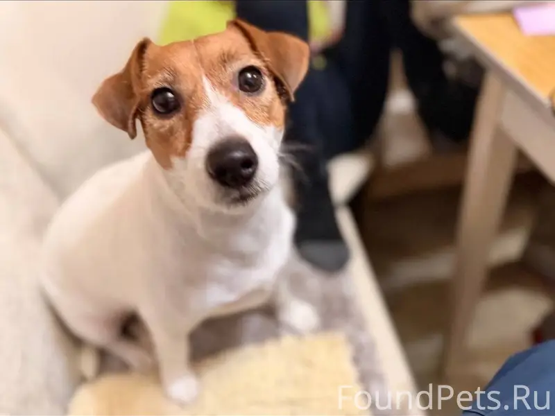 Доброе утро Испугалась фейерве...