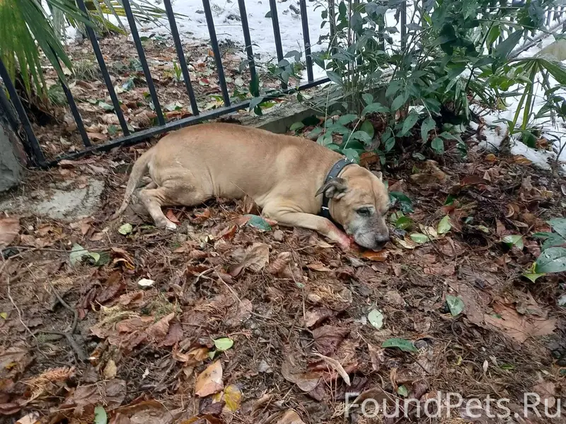 Максимальный репост помогите у...