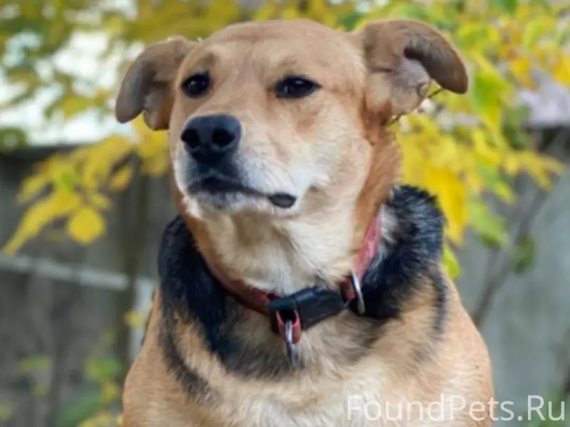 В ночь на 1 января пропала...