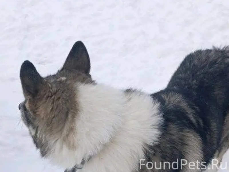 Добрый день жители Кашина! Сег...