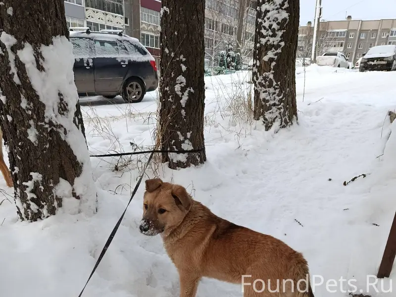 Сегодня 1.01 примерно в 6...