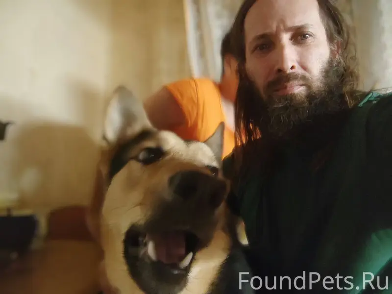 Сегодня ночью, в районе Южной ...